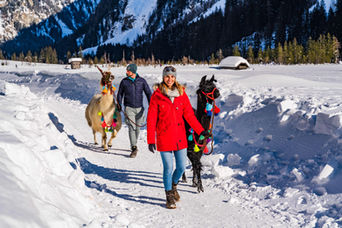 Lama Wanderung Tauernlama Mallnitz Winter 2021 (2).jpg