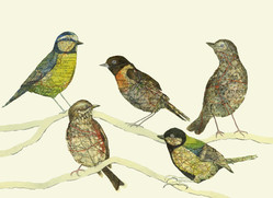 Jo's Birds