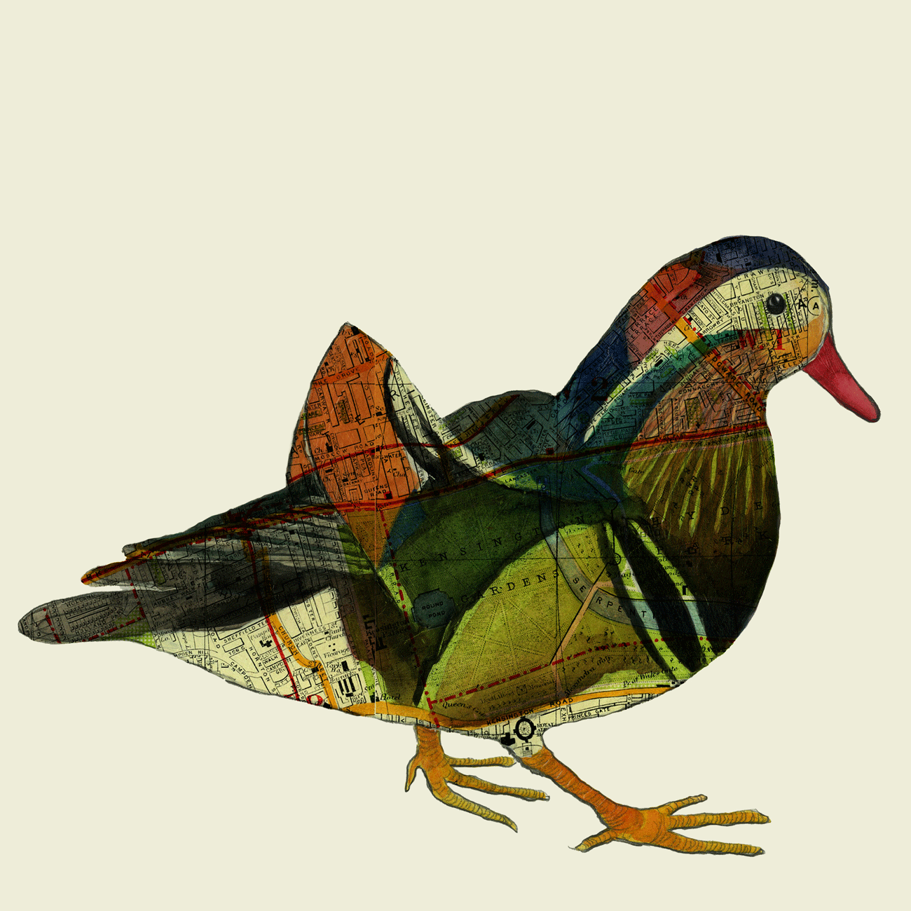 Kensington Palace Duck