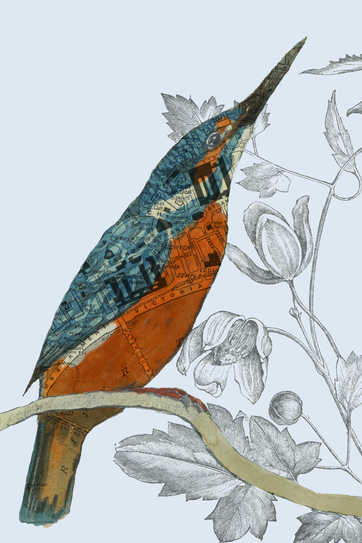 Thames Kingfisher 1