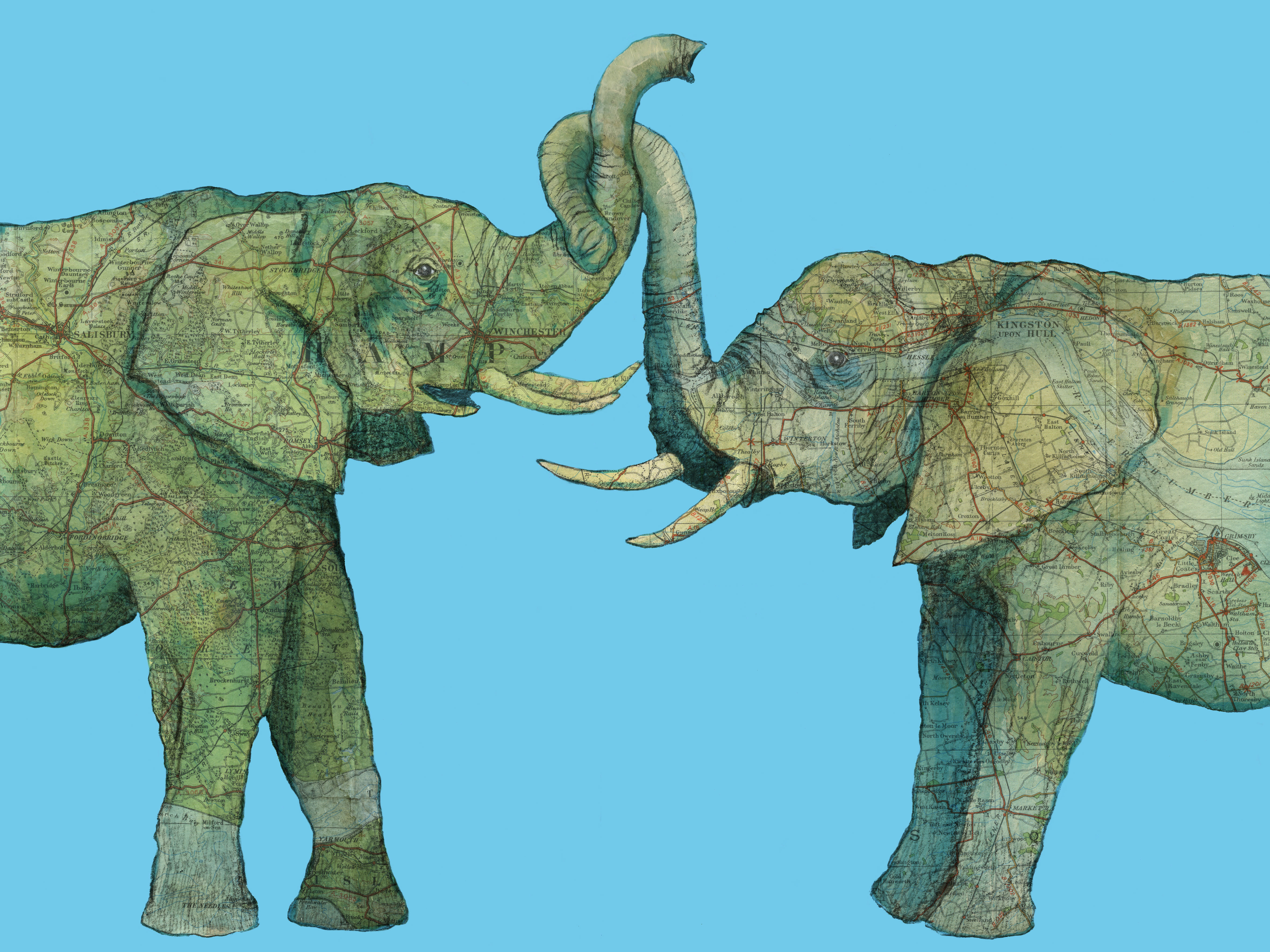 A Couple of Elephants