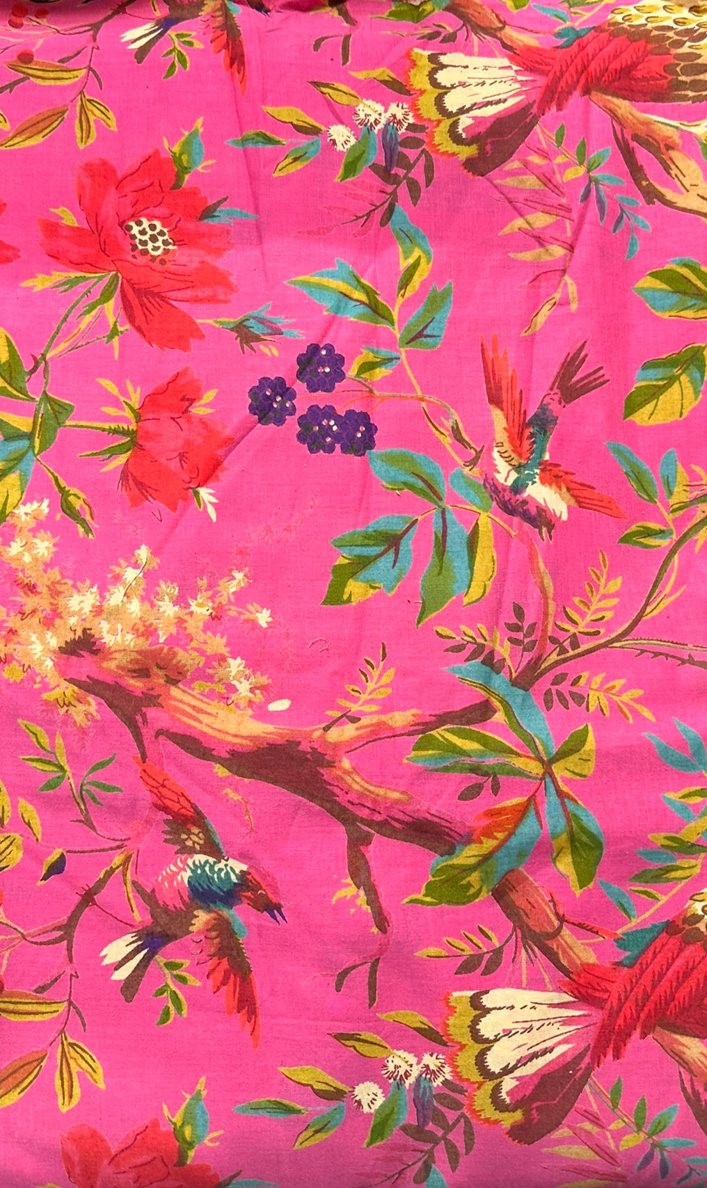 Colibri et fleurs sur fond rose