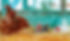 LEAD_shutterstock_1269230443.jpg