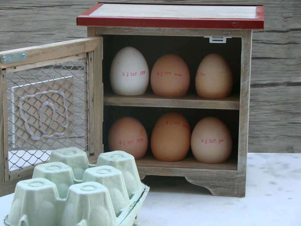 Oeufs