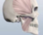 images.jpeg