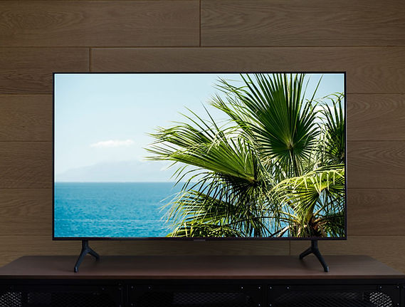 tv.jpg