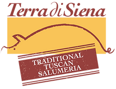 logo TDS USA sfondato.png
