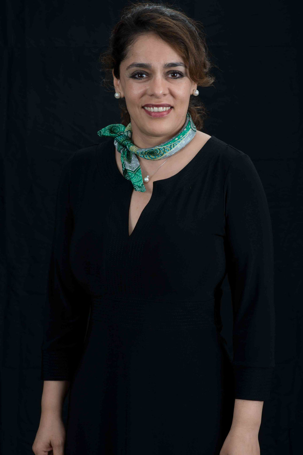 Retrato político
