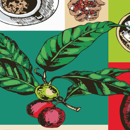 Una taza de paz: experiencias alrededor del café “Tercer Acuerdo” en la Universidad del Tolima 