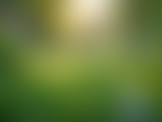 The Importance of Sustainable Living in Today's World