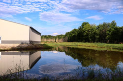 Matić Farms
