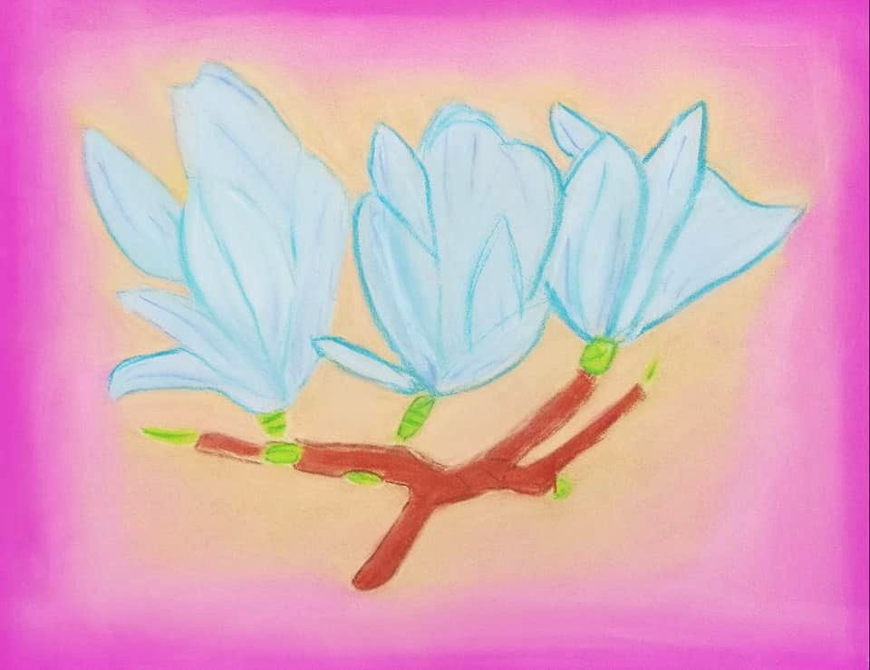 magnolia