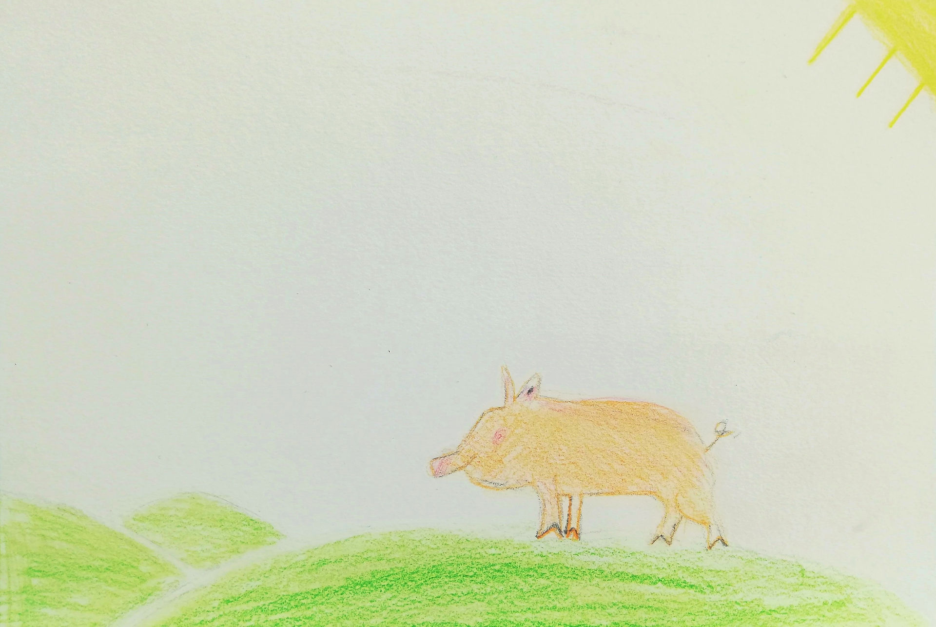 petit cochon