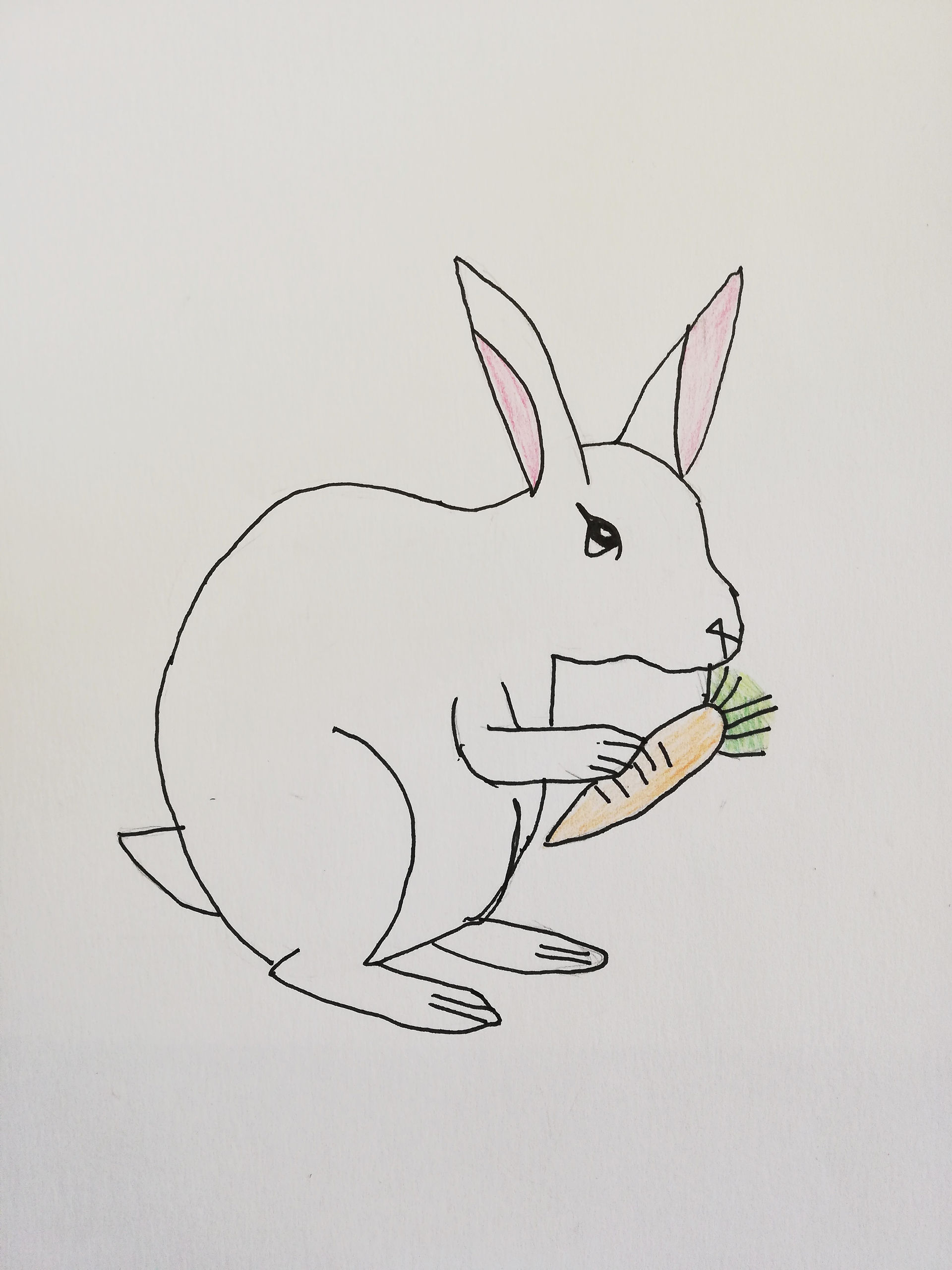 lapin