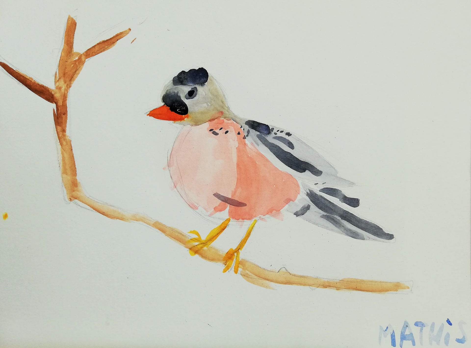 oiseau