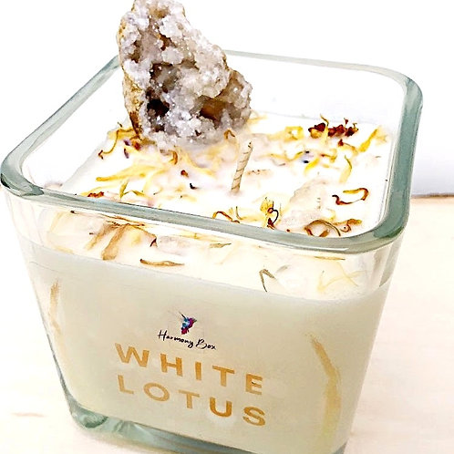 White lotus свечи