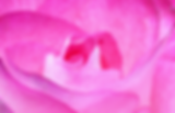 Untitled design (7).png