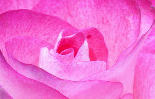 Untitled design (7).png