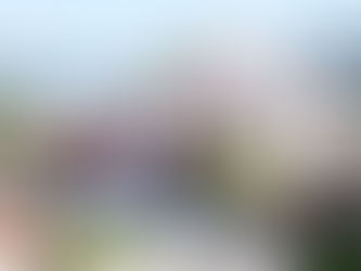 O Poder da Fotografia no Mercado Hoteleiro de Luxo: Como o Instagram Transforma Hotéis em Verdadeiras Joias