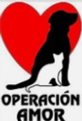 Operation Amor.jpg