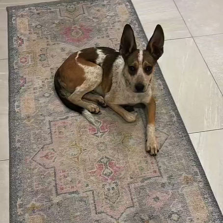 Max's 3 Days Away: Day 3
