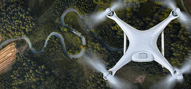 Drone Over Forest