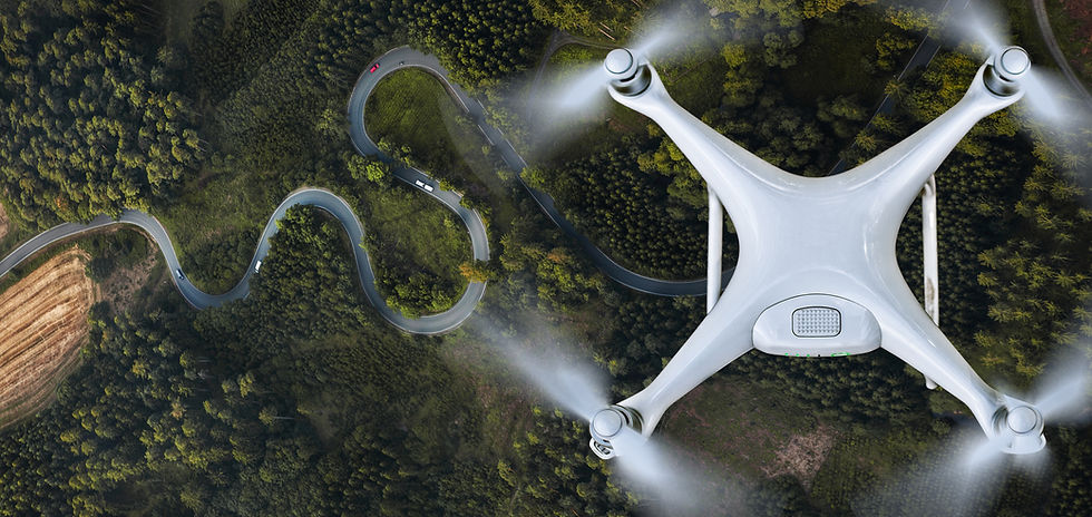 Drone sobrevoando a floresta