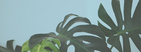 Tropical Leaves Closeup