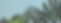 Tropical Leaves