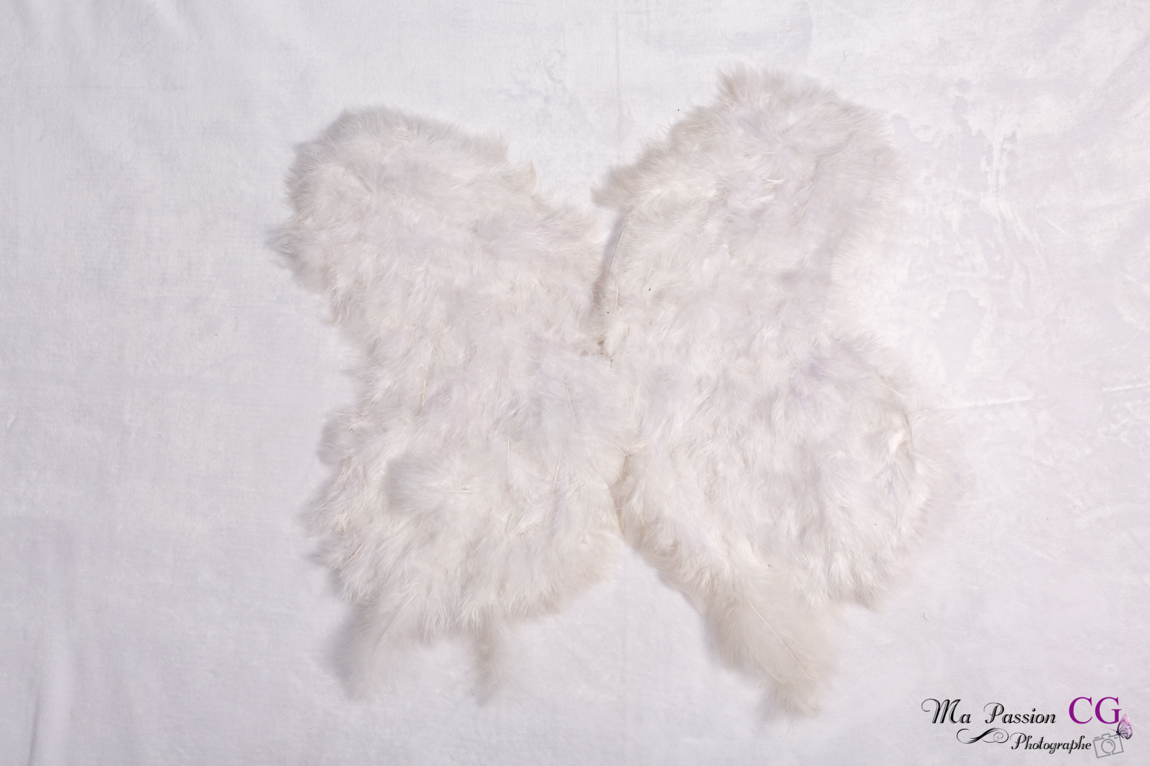 ailes ange