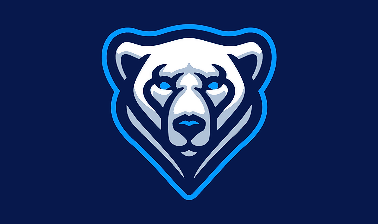 Polar_upscaled.png