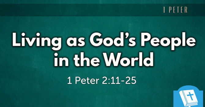Sunday 3rd May 2026 - Fifth Sunday of Easter