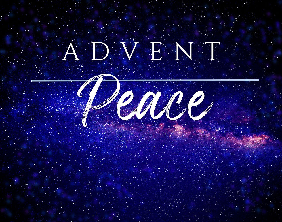 Sunday 7th December 2025 - Second Sunday of Advent