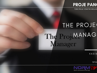 “THE PROJECT MANAGER”