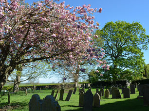 Whissendine Parish Council Update