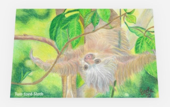 Sloth Time Birthday Card front with BecRa's drawing of a 2 Toed Sloth hanging upside down in bright green tropical background