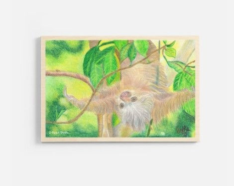 Sloth Time Print on Wood Plaque with a colorful 2 Toed Sloth drawing printed on a  maple wood plaque