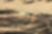 232A6790.JPG