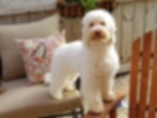 20180614_072803_1528975684004.jpeg