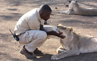 Our tours educate guests on the importance of wildlife protection, anti-poaching efforts, and preserving natural parks like M