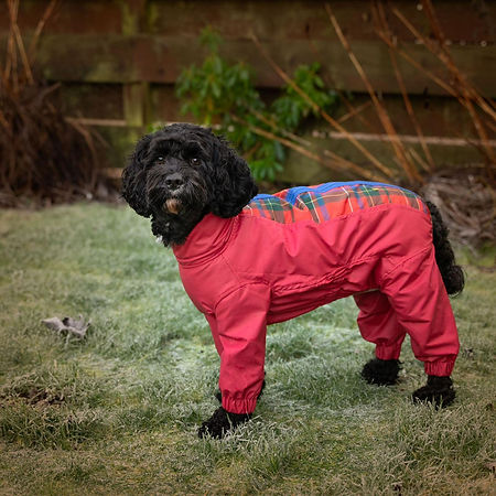 WhatsApp Image 2025-09-18 at 15.36.51.jpeg