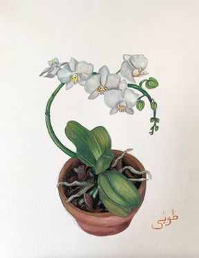 Zainab in Bloom, 2022