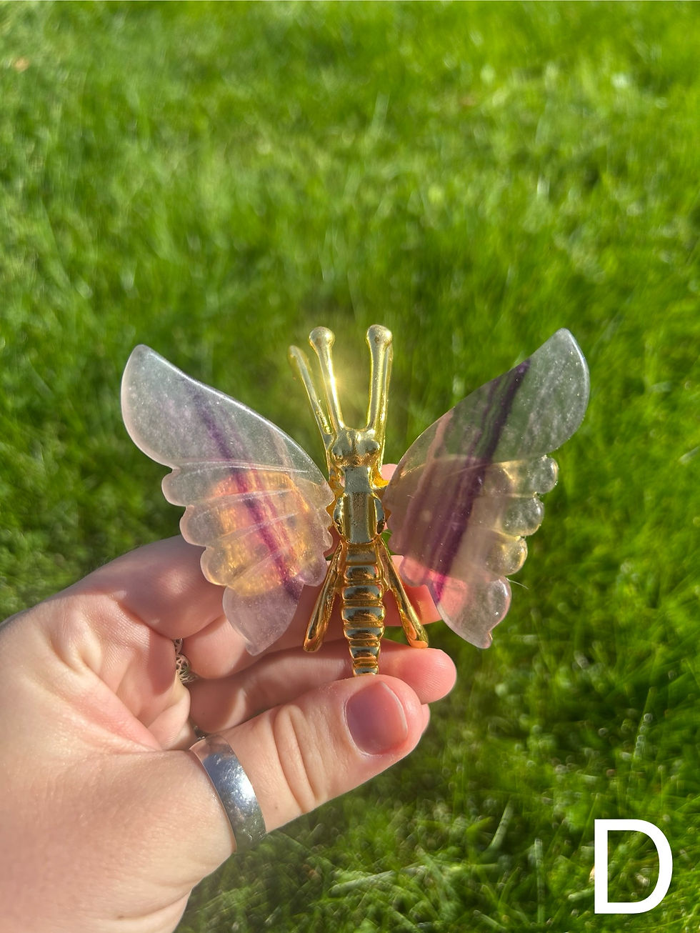 Thumbnail: Rainbow Fluorite Butterfly Wings