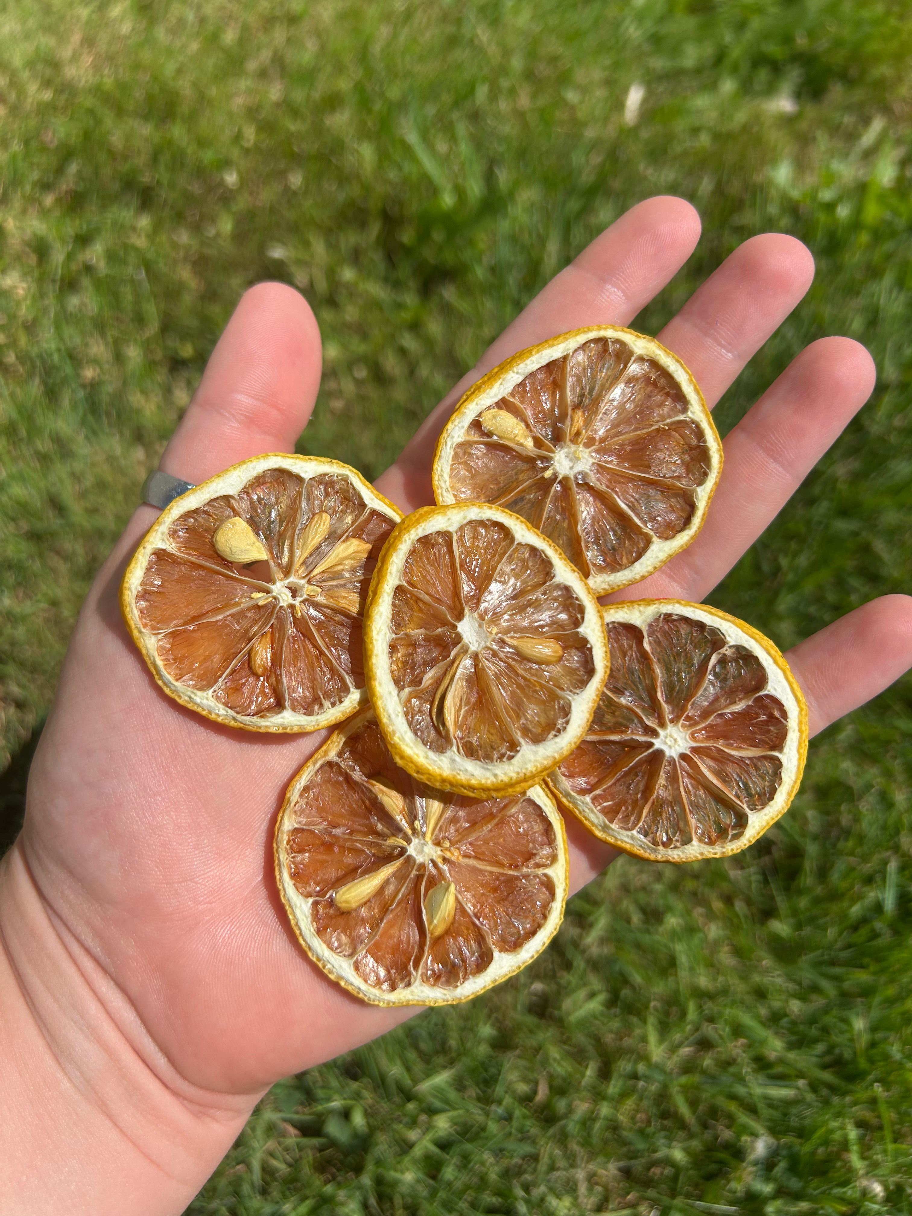 5 Dehydrated Lemon Slices