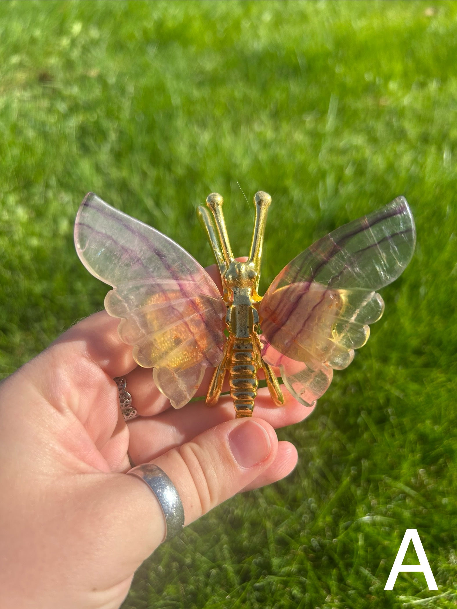 Rainbow Fluorite Butterfly Wings