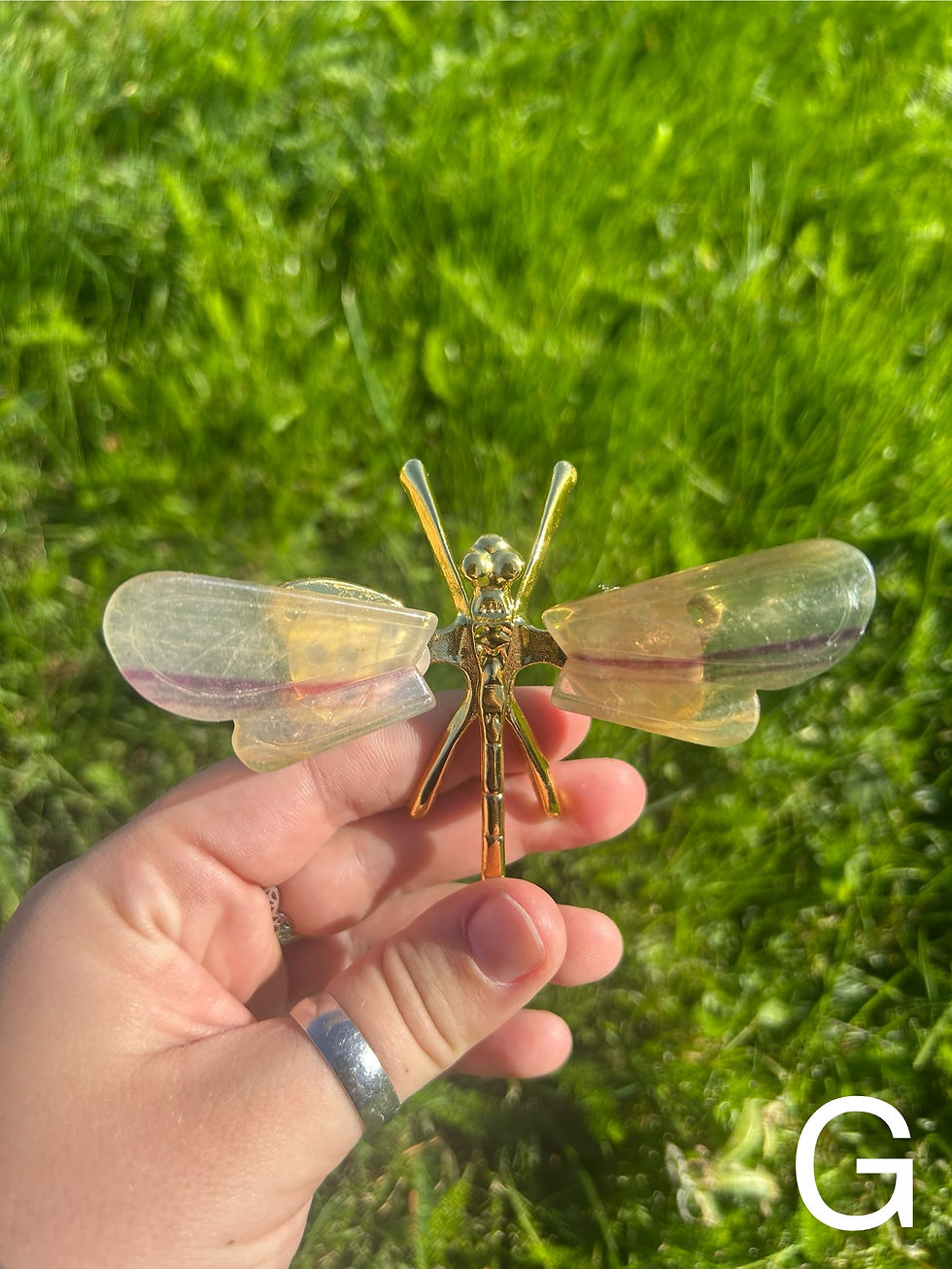 Thumbnail: Rainbow Fluorite Dragonfly