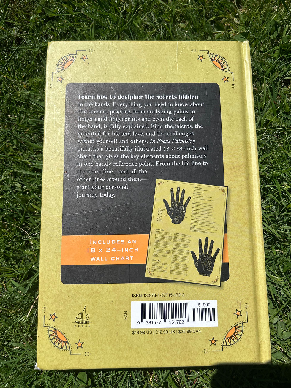 Thumbnail: Palmistry Your Personal Guide 