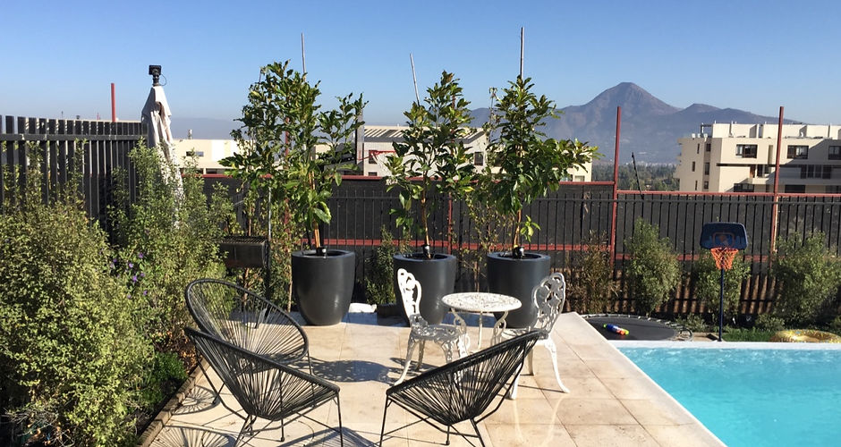 El Remanso 1 Terraza con Macetas.jpg