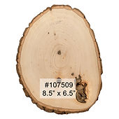 D - 107509.jpg