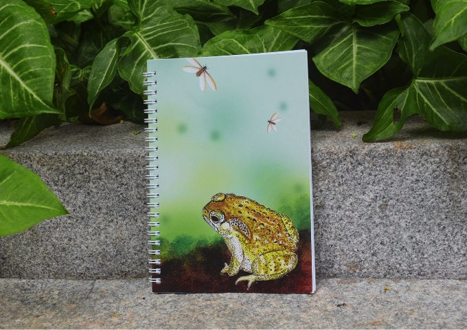 Thumbnail: Roots & Paper Set